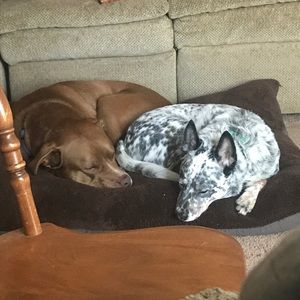 Meet your Posher, Allison